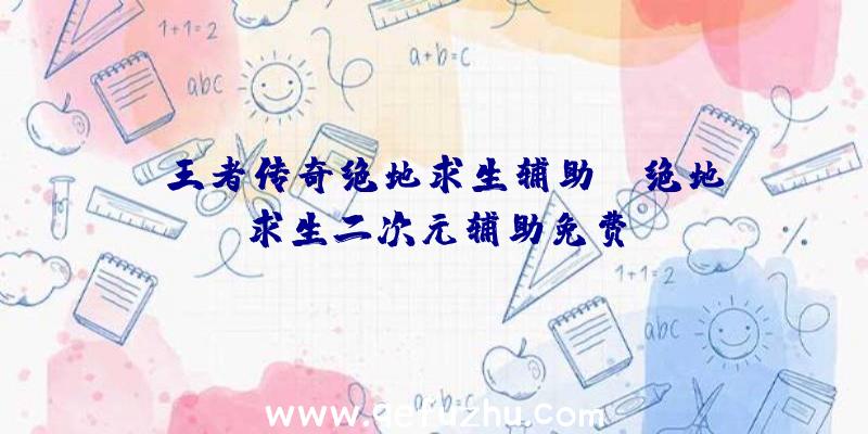 「王者传奇绝地求生辅助」|绝地求生二次元辅助免费